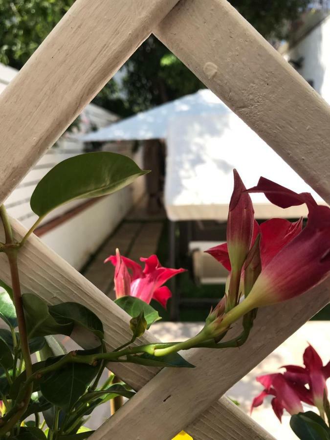 Virgilio'S Garden Bed & Breakfast Castellammare di Stabia Exterior foto